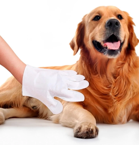 Luvas Descartáveis para Higienização de Pets – 10 unid.