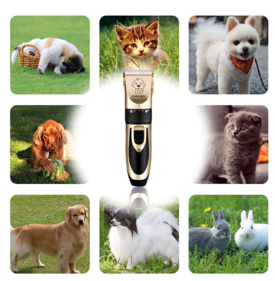 Kit Máquina Para Tosar Pet + Tesoura + Pente + Lixa