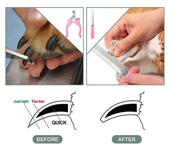 Kit Máquina Para Tosar Pet + Tesoura + Pente + Lixa