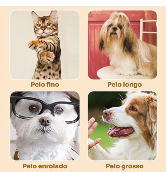 Kit Máquina Para Tosar Pet + Tesoura + Pente + Lixa