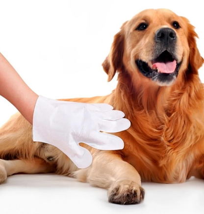Luvas Descartáveis para Higienização de Pets – 10 unid.