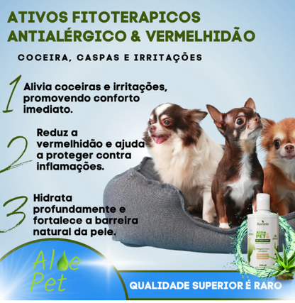 Melhor tratamento para coceira e dermatite Pet - Aloe vera