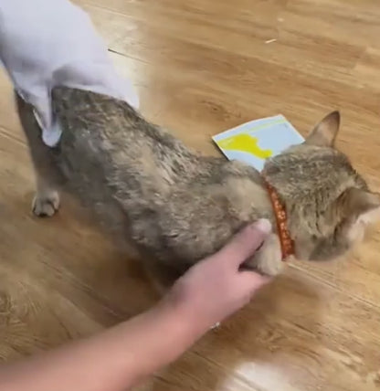 Luvas Descartáveis para Higienização de Pets – 10 unid.